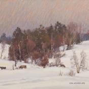 T M Nicholas CowsInDeepSnow